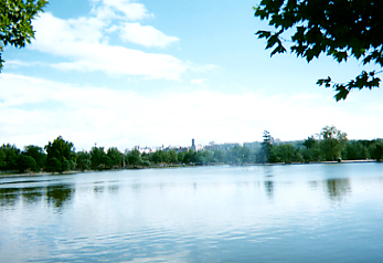 Casa de Campo�̃��S��