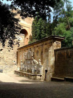 �A���n���u���{�a�̓����