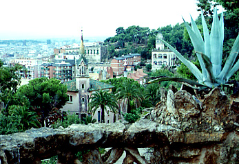 �O�G������