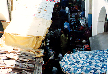 �U�K�C�h�������Ă��ꂽ�����b�R�̎B�e�|�C���g�Q